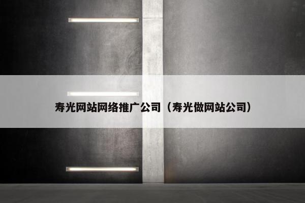 寿光网站网络推广公司（寿光做网站公司）