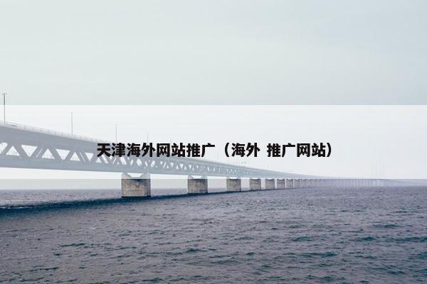 天津海外网站推广（海外 推广网站）