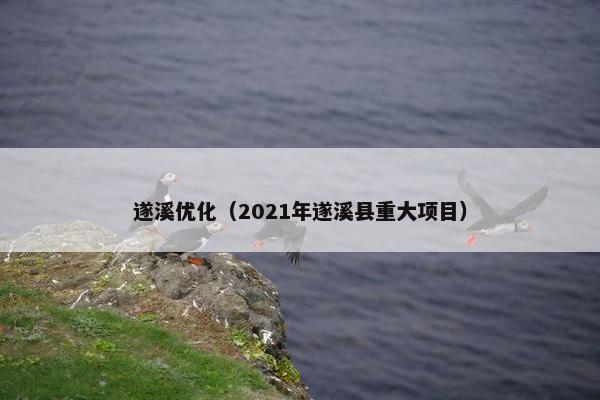 遂溪优化（2021年遂溪县重大项目）