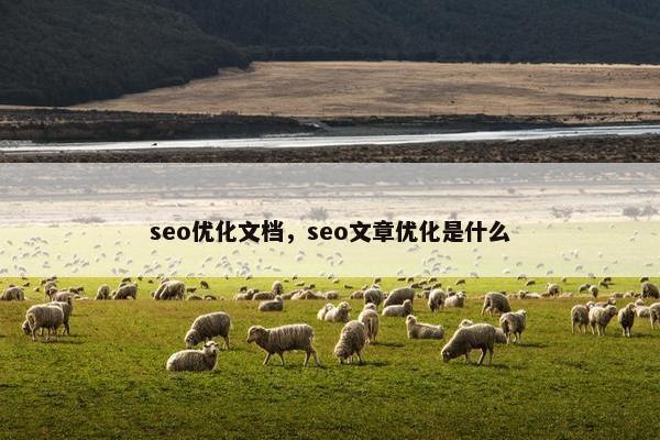 seo优化文档，seo文章优化是什么