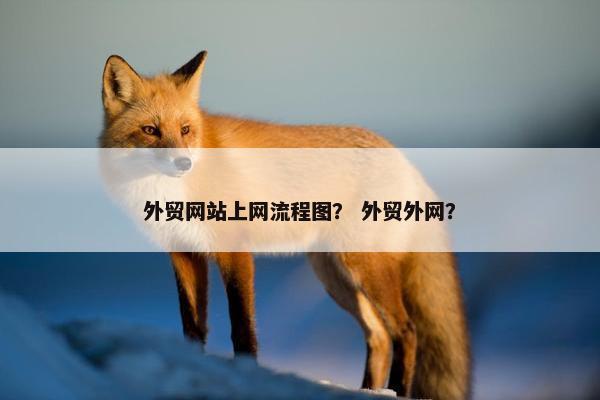 外贸网站上网流程图？ 外贸外网？