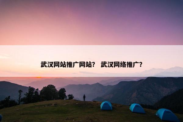 武汉网站推广网站？ 武汉网络推广？