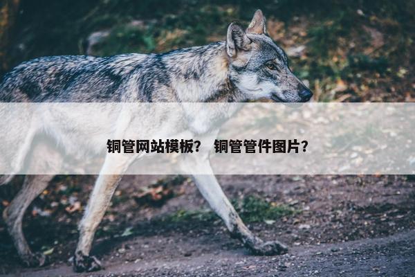 铜管网站模板？ 铜管管件图片？