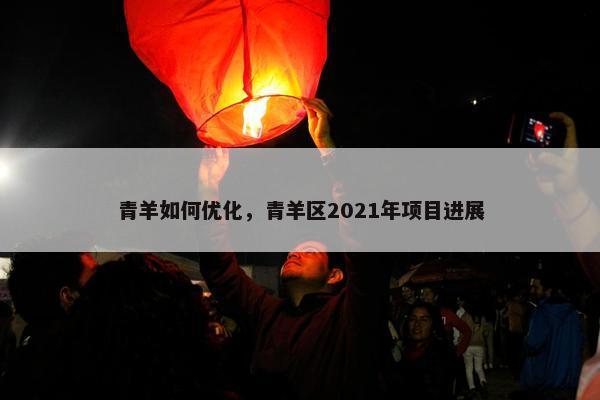 青羊如何优化，青羊区2021年项目进展