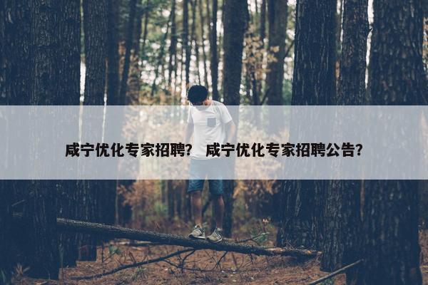咸宁优化专家招聘？ 咸宁优化专家招聘公告？