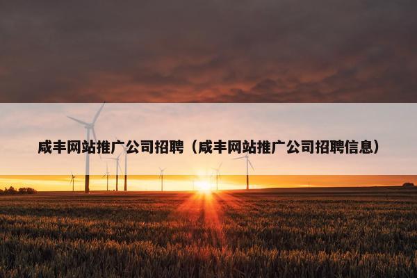 咸丰网站推广公司招聘（咸丰网站推广公司招聘信息）