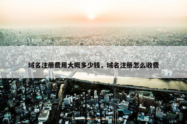 域名注册费用大概多少钱，域名注册怎么收费