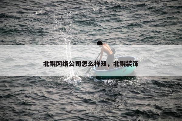北鲲网络公司怎么样知，北鲲装饰