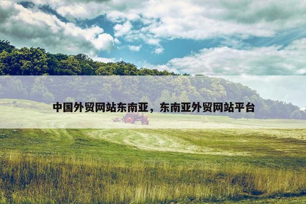 中国外贸网站东南亚，东南亚外贸网站平台