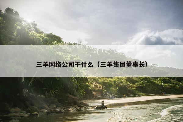 三羊网络公司干什么（三羊集团董事长）