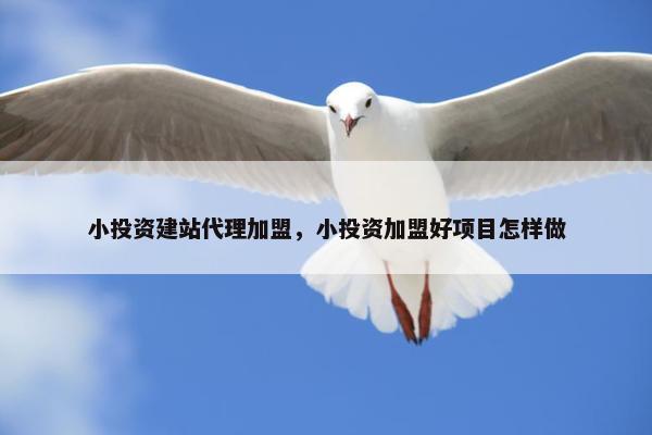 小投资建站代理加盟，小投资加盟好项目怎样做