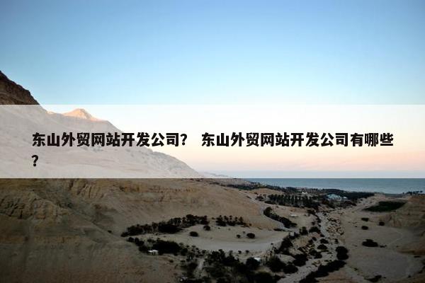 东山外贸网站开发公司？ 东山外贸网站开发公司有哪些？