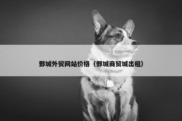 鄄城外贸网站价格（鄄城商贸城出租）