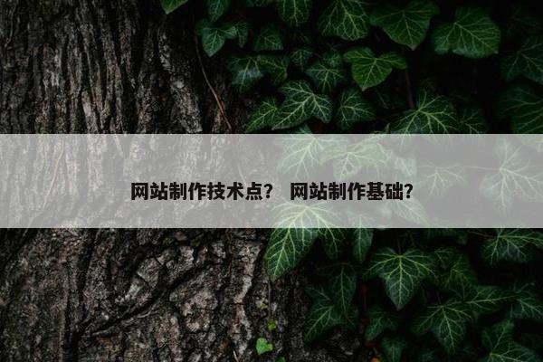 网站制作技术点？ 网站制作基础？