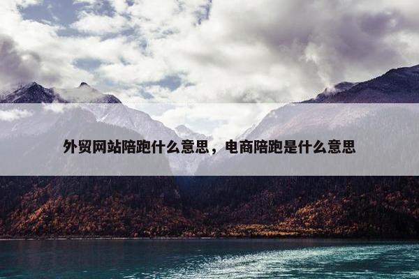 外贸网站陪跑什么意思，电商陪跑是什么意思