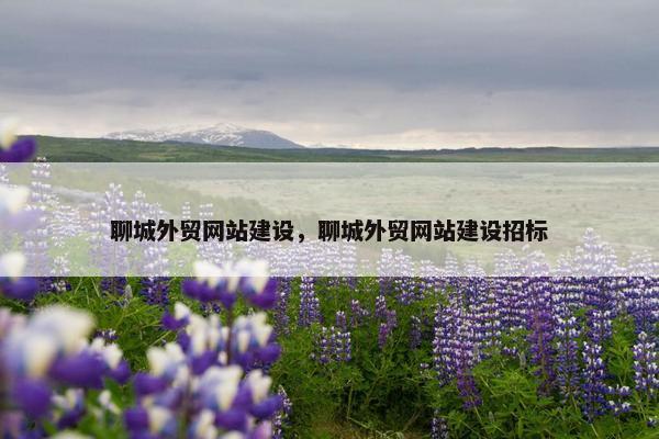 聊城外贸网站建设，聊城外贸网站建设招标