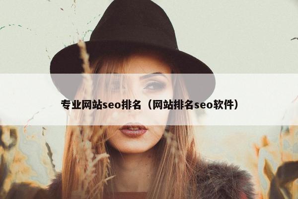 专业网站seo排名（网站排名seo软件）