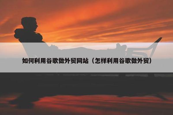 如何利用谷歌做外贸网站（怎样利用谷歌做外贸）