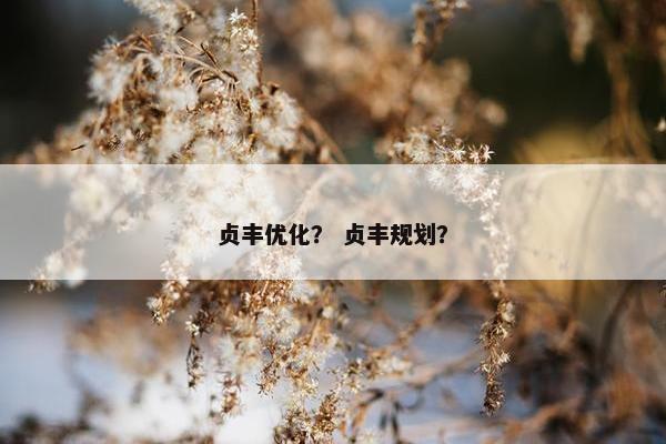 贞丰优化？ 贞丰规划？