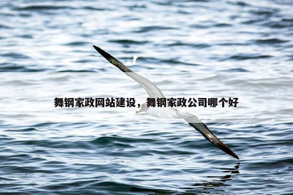 舞钢家政网站建设，舞钢家政公司哪个好