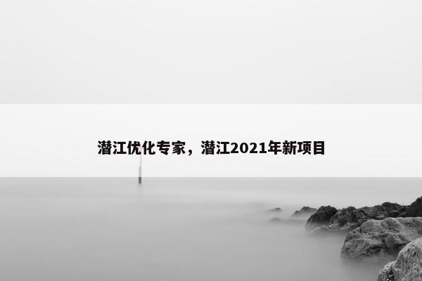 潜江优化专家，潜江2021年新项目