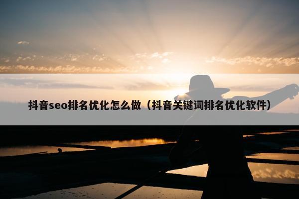 抖音seo排名优化怎么做（抖音关键词排名优化软件）