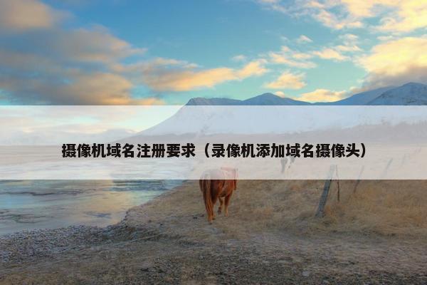 摄像机域名注册要求（录像机添加域名摄像头）