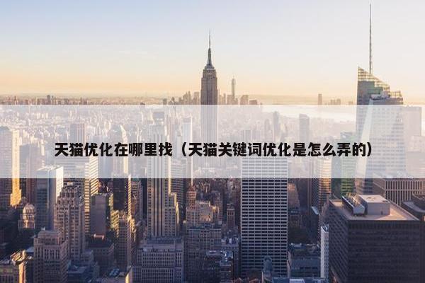 天猫优化在哪里找（天猫关键词优化是怎么弄的）