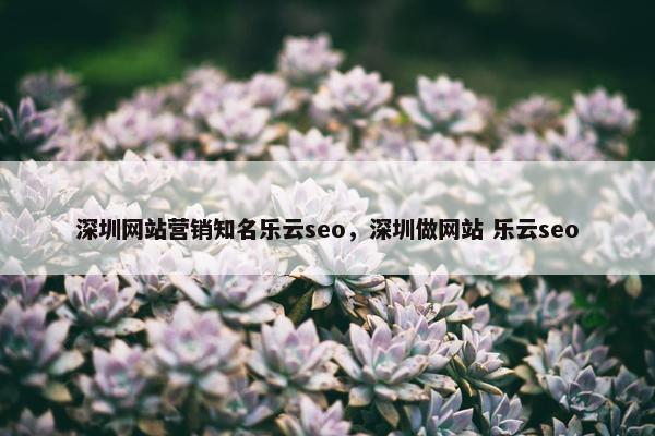 深圳网站营销知名乐云seo，深圳做网站 乐云seo