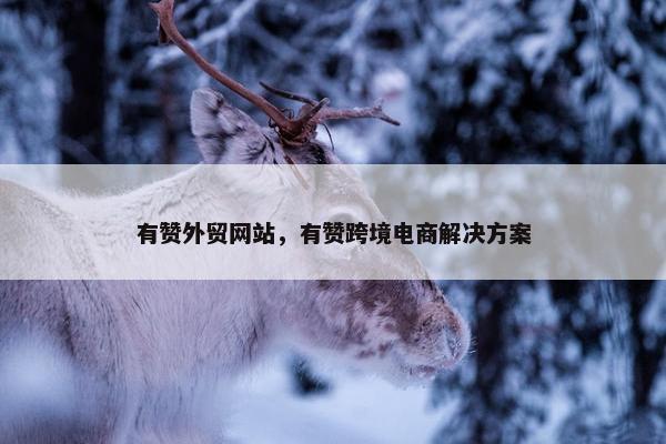 有赞外贸网站，有赞跨境电商解决方案