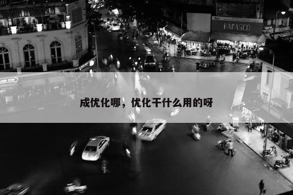 成优化哪，优化干什么用的呀