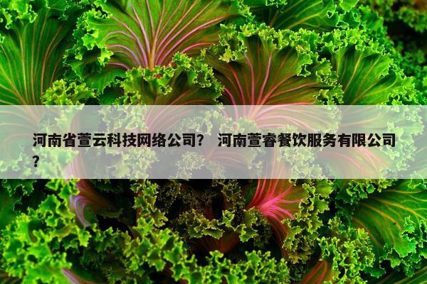 河南省萱云科技网络公司？ 河南萱睿餐饮服务有限公司？