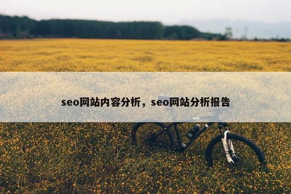 seo网站内容分析，seo网站分析报告