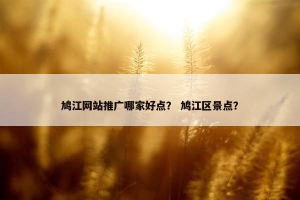 鸠江网站推广哪家好点？ 鸠江区景点？