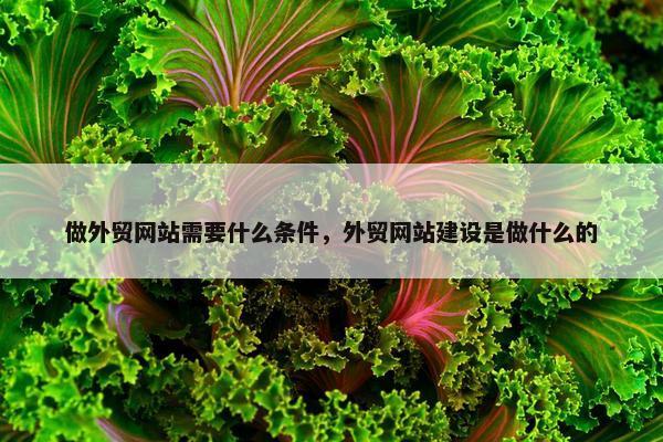 做外贸网站需要什么条件，外贸网站建设是做什么的