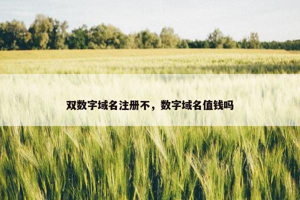 双数字域名注册不，数字域名值钱吗