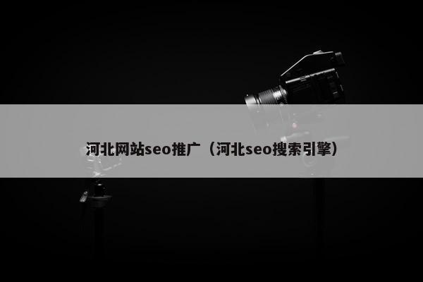 河北网站seo推广（河北seo搜索引擎）