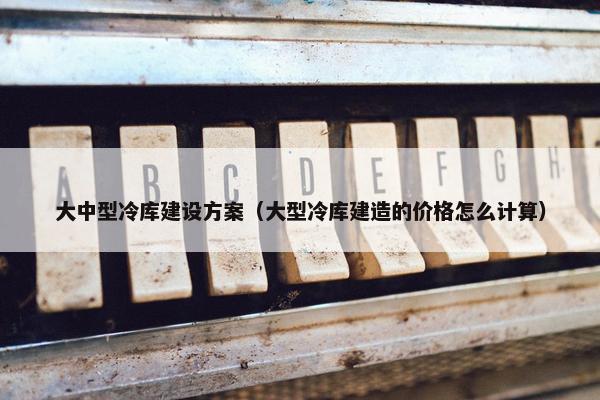 大中型冷库建设方案（大型冷库建造的价格怎么计算）