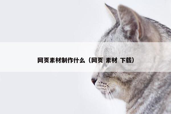 网页素材制作什么（网页 素材 下载）