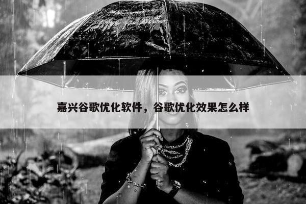 嘉兴谷歌优化软件，谷歌优化效果怎么样