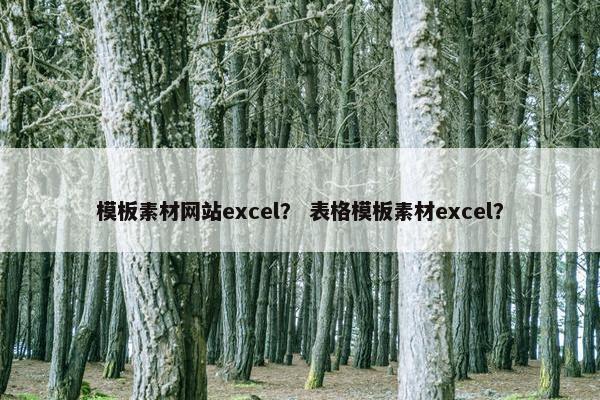 模板素材网站excel？ 表格模板素材excel？
