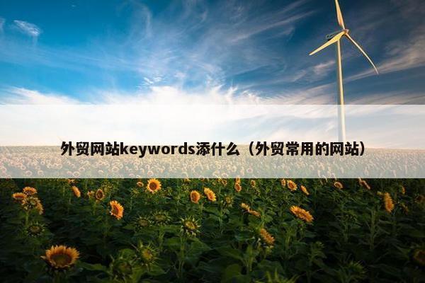 外贸网站keywords添什么（外贸常用的网站）