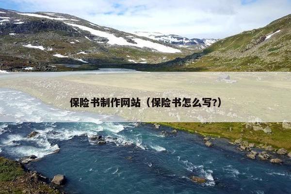 保险书制作网站（保险书怎么写?）