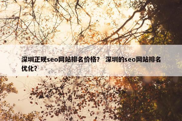 深圳正规seo网站排名价格？ 深圳的seo网站排名优化？