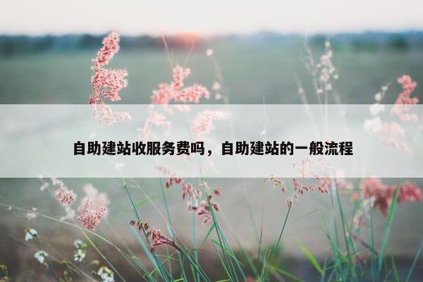 自助建站收服务费吗，自助建站的一般流程