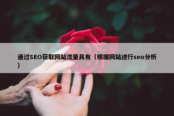 通过SEO获取网站流量具有（根据网站进行seo分析）