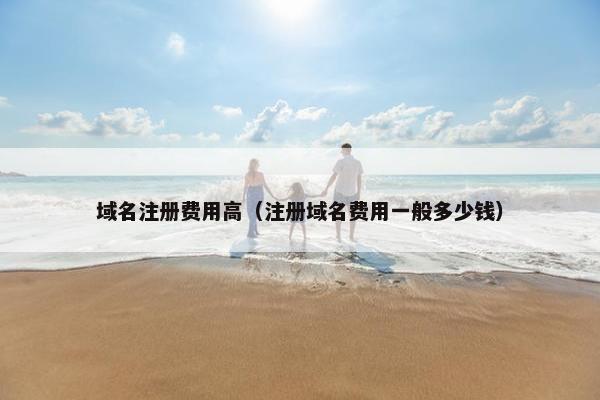 域名注册费用高（注册域名费用一般多少钱）