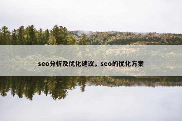 seo分析及优化建议，seo的优化方案