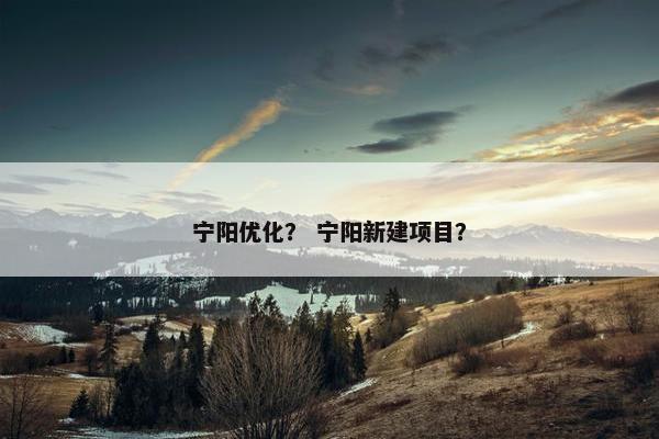 宁阳优化？ 宁阳新建项目？