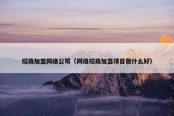招商加盟网络公司（网络招商加盟项目做什么好）